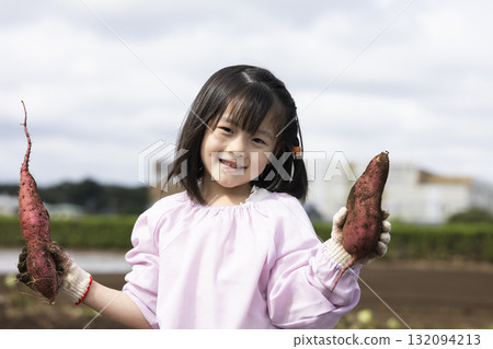 Cute girl harvesting sweet potatoes Cute girl harvesting sweet potatoes 132094213