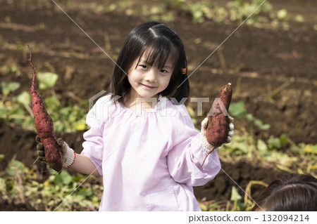 Cute girl harvesting sweet potatoes Cute girl harvesting sweet potatoes 132094214