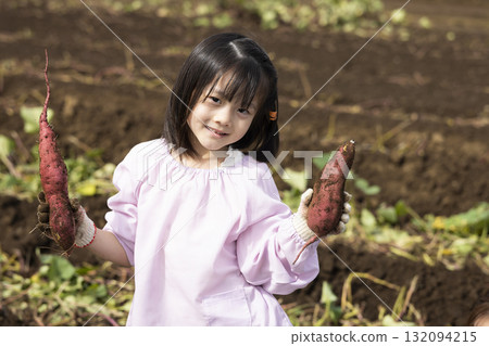 Cute girl harvesting sweet potatoes Cute girl harvesting sweet potatoes 132094215