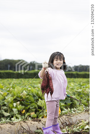 收穫地瓜的可愛女孩 132094250