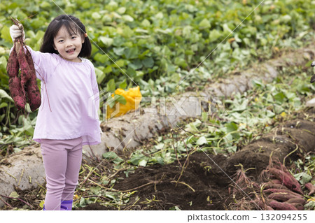 Cute girl harvesting sweet potatoes 132094255