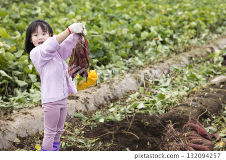 Cute girl harvesting sweet potatoes Cute girl harvesting sweet potatoes 132094257