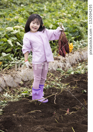 Cute girl harvesting sweet potatoes Cute girl harvesting sweet potatoes 132094295