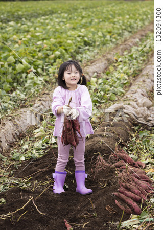 Cute girl harvesting sweet potatoes Cute girl harvesting sweet potatoes 132094300