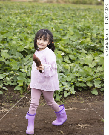 Cute girl harvesting sweet potatoes 132094328