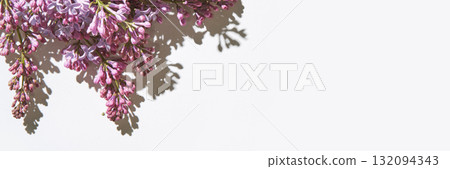 Purple lilac flowers casting shadows on a white background Purple lilac flowers casting shadows on a white background 132094343