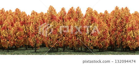 forest line with shadows under the trees, isolated on transparent background, 3D illustration, cg render forest line with shadows under the trees, isolated on transparent background, 3D illustration, cg render 132094474