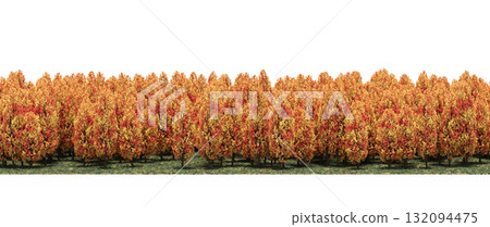 forest line with shadows under the trees, isolated on transparent background, 3D illustration, cg render forest line with shadows under the trees, isolated on transparent background, 3D illustration, cg render 132094475