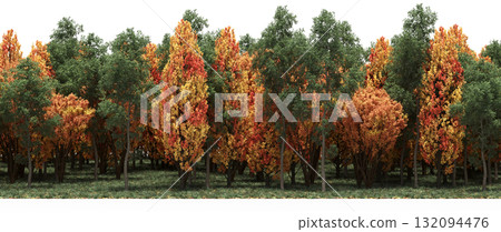 forest line with shadows under the trees, isolated on transparent background, 3D illustration, cg render 132094476