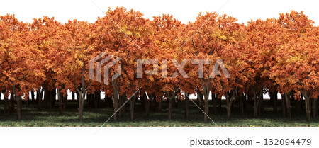 forest line with shadows under the trees, isolated on transparent background, 3D illustration, cg render forest line with shadows under the trees, isolated on transparent background, 3D illustration, cg render 132094479
