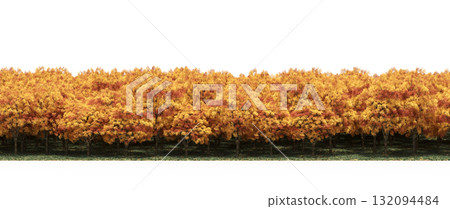 forest line with shadows under the trees, isolated on transparent background, 3D illustration, cg render forest line with shadows under the trees, isolated on transparent background, 3D illustration, cg render 132094484