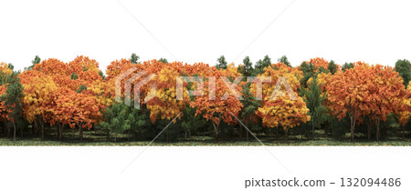 forest line with shadows under the trees, isolated on transparent background, 3D illustration, cg render forest line with shadows under the trees, isolated on transparent background, 3D illustration, cg render 132094486
