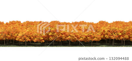 forest line with shadows under the trees, isolated on transparent background, 3D illustration, cg render 132094488