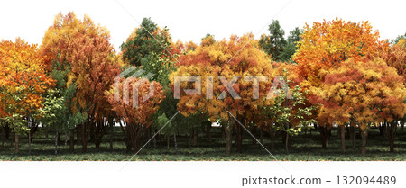forest line with shadows under the trees, isolated on transparent background, 3D illustration, cg render forest line with shadows under the trees, isolated on transparent background, 3D illustration, cg render 132094489