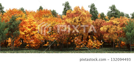 forest line with shadows under the trees, isolated on transparent background, 3D illustration, cg render forest line with shadows under the trees, isolated on transparent background, 3D illustration, cg render 132094493