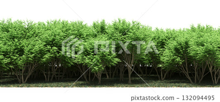 forest line with shadows under the trees, isolated on transparent background, 3D illustration, cg render forest line with shadows under the trees, isolated on transparent background, 3D illustration, cg render 132094495