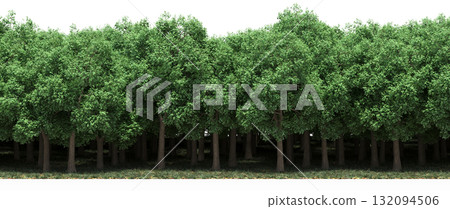 forest line with shadows under the trees, isolated on transparent background, 3D illustration, cg render 132094506