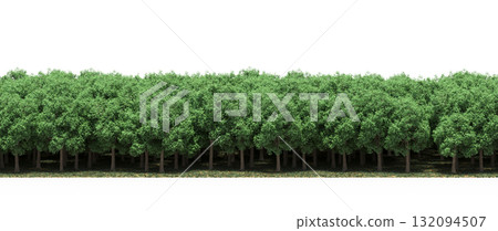 forest line with shadows under the trees, isolated on transparent background, 3D illustration, cg render forest line with shadows under the trees, isolated on transparent background, 3D illustration, cg render 132094507