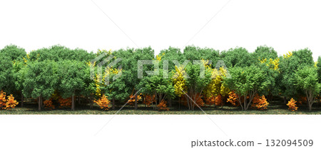 forest line with shadows under the trees, isolated on transparent background, 3D illustration, cg render forest line with shadows under the trees, isolated on transparent background, 3D illustration, cg render 132094509