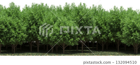 forest line with shadows under the trees, isolated on transparent background, 3D illustration, cg render forest line with shadows under the trees, isolated on transparent background, 3D illustration, cg render 132094510