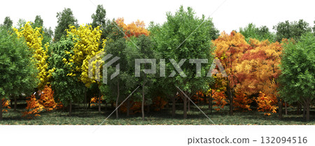 forest line with shadows under the trees, isolated on transparent background, 3D illustration, cg render 132094516