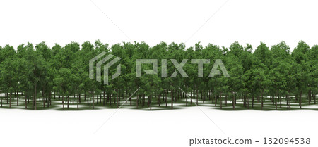 forest line with shadows under the trees, isolated on transparent background, 3D illustration, cg render 132094538