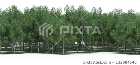 forest line with shadows under the trees, isolated on transparent background, 3D illustration, cg render forest line with shadows under the trees, isolated on transparent background, 3D illustration, cg render 132094546