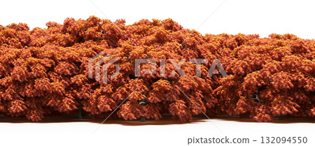 forest line with shadows under the trees, isolated on transparent background, 3D illustration, cg render forest line with shadows under the trees, isolated on transparent background, 3D illustration, cg render 132094550