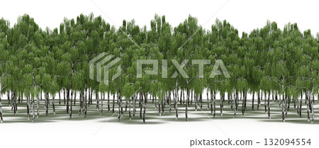 forest line with shadows under the trees, isolated on transparent background, 3D illustration, cg render forest line with shadows under the trees, isolated on transparent background, 3D illustration, cg render 132094554