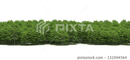 forest line with shadows under the trees, isolated on transparent background, 3D illustration, cg render forest line with shadows under the trees, isolated on transparent background, 3D illustration, cg render 132094564