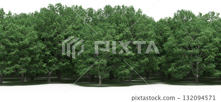 forest line with shadows under the trees, isolated on transparent background, 3D illustration, cg render forest line with shadows under the trees, isolated on transparent background, 3D illustration, cg render 132094571