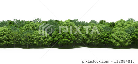 forest line with shadows under the trees, isolated on transparent background, 3D illustration, cg render 132094813