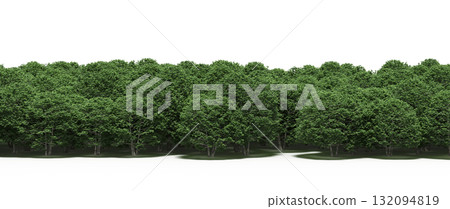 forest line with shadows under the trees, isolated on transparent background, 3D illustration, cg render forest line with shadows under the trees, isolated on transparent background, 3D illustration, cg render 132094819