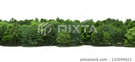 forest line with shadows under the trees, isolated on transparent background, 3D illustration, cg render 132094821