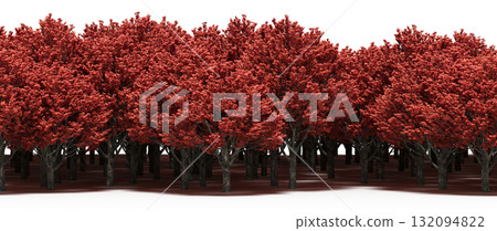 forest line with shadows under the trees, isolated on transparent background, 3D illustration, cg render forest line with shadows under the trees, isolated on transparent background, 3D illustration, cg render 132094822