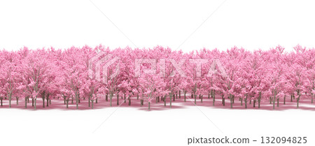 forest line with shadows under the trees, isolated on transparent background, 3D illustration, cg render forest line with shadows under the trees, isolated on transparent background, 3D illustration, cg render 132094825