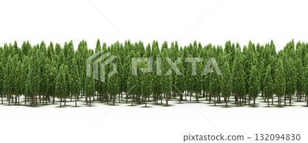 forest line with shadows under the trees, isolated on transparent background, 3D illustration, cg render 132094830
