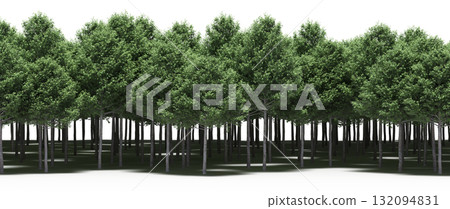 forest line with shadows under the trees, isolated on transparent background, 3D illustration, cg render forest line with shadows under the trees, isolated on transparent background, 3D illustration, cg render 132094831