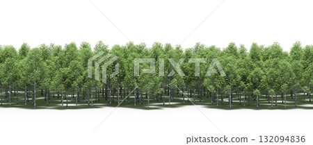 forest line with shadows under the trees, isolated on transparent background, 3D illustration, cg render 132094836
