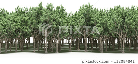forest line with shadows under the trees, isolated on transparent background, 3D illustration, cg render forest line with shadows under the trees, isolated on transparent background, 3D illustration, cg render 132094841