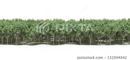 forest line with shadows under the trees, isolated on transparent background, 3D illustration, cg render forest line with shadows under the trees, isolated on transparent background, 3D illustration, cg render 132094842