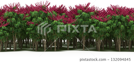 forest line with shadows under the trees, isolated on transparent background, 3D illustration, cg render forest line with shadows under the trees, isolated on transparent background, 3D illustration, cg render 132094845