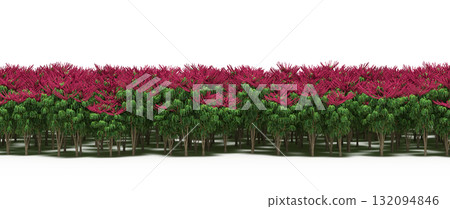 forest line with shadows under the trees, isolated on transparent background, 3D illustration, cg render forest line with shadows under the trees, isolated on transparent background, 3D illustration, cg render 132094846