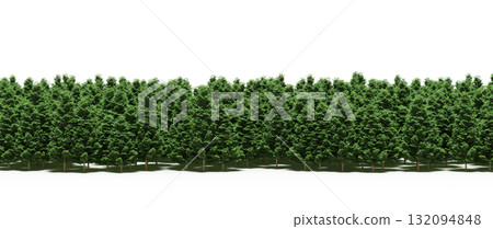 forest line with shadows under the trees, isolated on transparent background, 3D illustration, cg render forest line with shadows under the trees, isolated on transparent background, 3D illustration, cg render 132094848