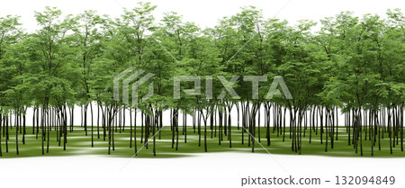 forest line with shadows under the trees, isolated on transparent background, 3D illustration, cg render forest line with shadows under the trees, isolated on transparent background, 3D illustration, cg render 132094849