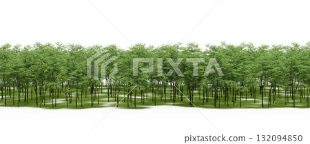 forest line with shadows under the trees, isolated on transparent background, 3D illustration, cg render forest line with shadows under the trees, isolated on transparent background, 3D illustration, cg render 132094850