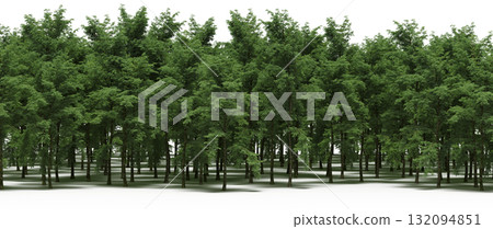 forest line with shadows under the trees, isolated on transparent background, 3D illustration, cg render 132094851