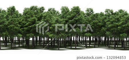 forest line with shadows under the trees, isolated on transparent background, 3D illustration, cg render forest line with shadows under the trees, isolated on transparent background, 3D illustration, cg render 132094853