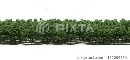 forest line with shadows under the trees, isolated on transparent background, 3D illustration, cg render forest line with shadows under the trees, isolated on transparent background, 3D illustration, cg render 132094854