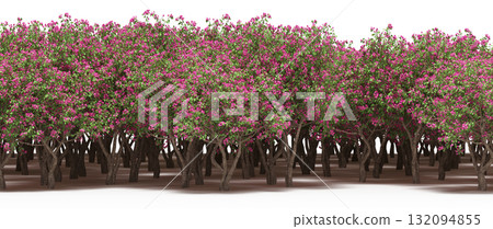 forest line with shadows under the trees, isolated on transparent background, 3D illustration, cg render forest line with shadows under the trees, isolated on transparent background, 3D illustration, cg render 132094855